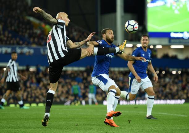 同时也展示 同时也展示