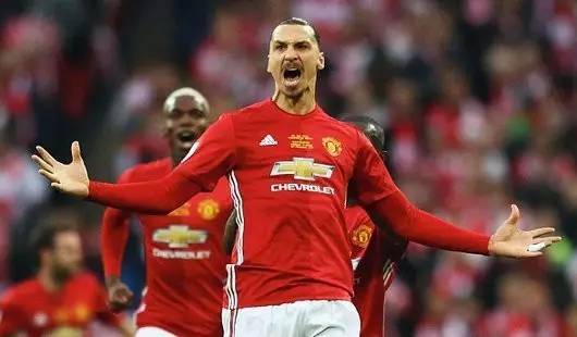 她以严谨的 她以严谨的